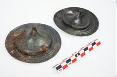 Foto von Bronzephalere (NHMW-PRAE-025823)